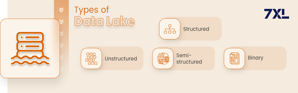 Types of Data Lake